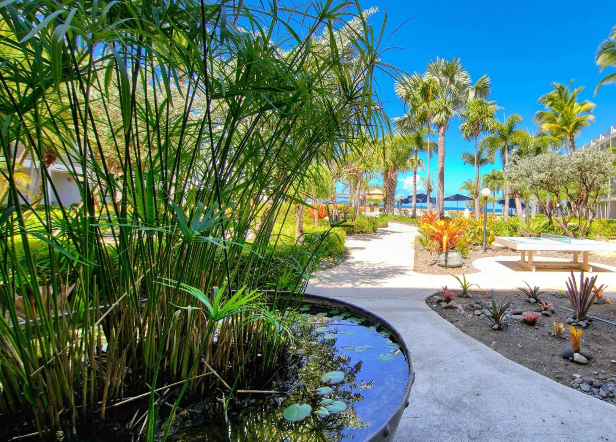 Rincon Of The Seas Grand Caribbean Hotel Zewnętrze zdjęcie